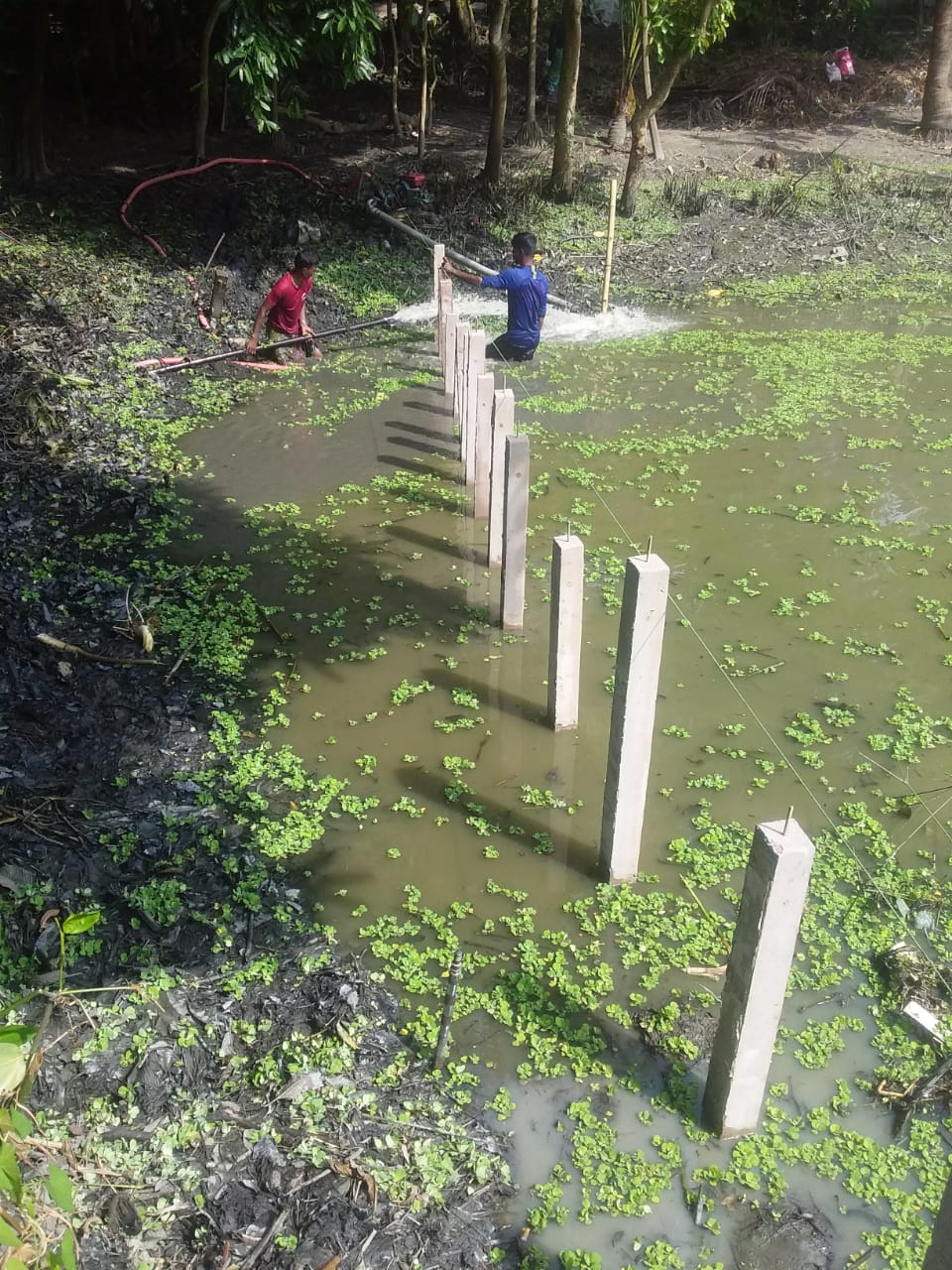 Cleaning Pond For Better Environment